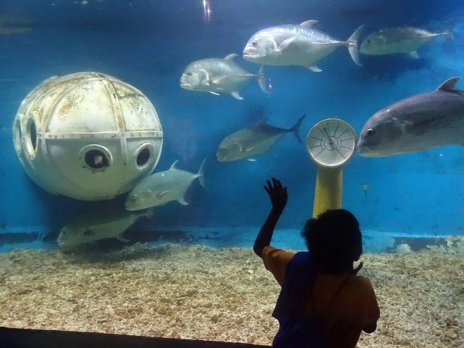 Uitje naar Ocean Park